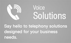Voice Solutions